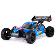 Redcat Shockwave Nitro Buggy 1/10 Scale (Blue)