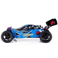 Redcat Shockwave Nitro Buggy 1/10 Scale (Blue)