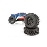 Team Associated AE MT 28