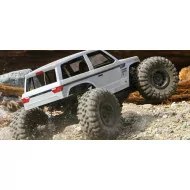 Axial Wraith Spawn 1/10 Rock Racer 4WD RTR