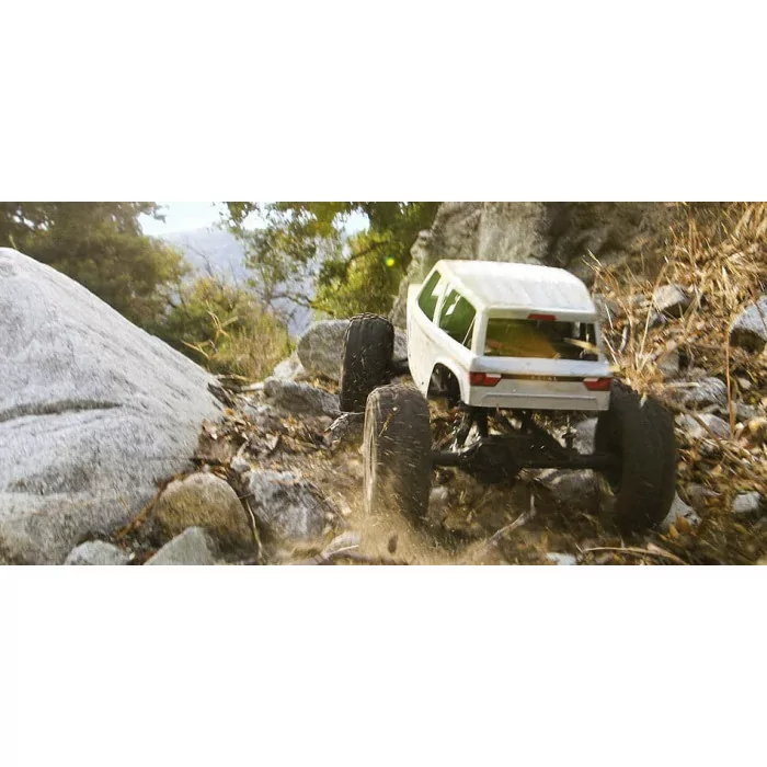 Axial Wraith Spawn 1/10 Rock Racer 4WD RTR