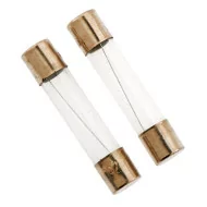 Traxxas Fuse/Charger/5amp (2) (for 2974/2975/2977)